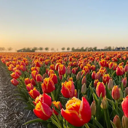 Boerenslag 19 Sint Maartenszee מלון